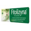 Fitolizyna Herbal Paste 100g Tube  Traditional Polish Formula  Natural Plant Extracts  Imported European Remedy  Authentic Herbal Care Cream  Herbal Paste view 1