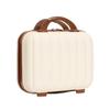 ALIULMIGD Pumpkin cosmetic case pp storage suitcase suitcase (Off-white) view 1