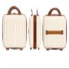 ALIULMIGD Pumpkin cosmetic case pp storage suitcase suitcase (Off-white) view 2