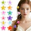 12PCS Small Flower Hair Claw Clips 1.57 Inch Cute Mini Claw Clips Plumeria Claw Clips for Women Girls'Thick Thin Hair Hawaiian Hair Accessories Birthday Holiday Gifts view 1