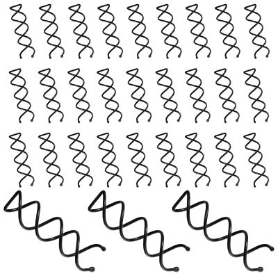 30 Pcs Spiral Bobby Pins, Spiral Hair Pins, Alloy Spin Pin, Non-Scratch Round Clip & Bun Twist for Girls Women, Perfect Fashion Small Bun Bobbypins, Easy & Fast Use(2.36 Inches, Black)