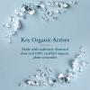 Fountina Organic's Diamond Radiance Facial Kit for Wrinkles, Dull and Dry Skin Treatment view 4