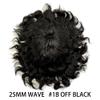 Healthlif Afro Curl Toupee for Black Men Hair Units Fine Mono Mens Weaves Toupees Kinky Curly Hair Replacement Systems for African American Mens Hairpieces (#1B Off Black, 8''X10''-25MM Afro Wave) view 2