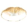 13x4 Lace Frontal Closure Glueless Gele Turban 613 Blonde Afro Twist Braids Topper Pre-Braid Human Hair Headband Wig, Pre-Plucked Natural Hairline Half Wig Human Hair Gele Frontal (613#, 12 inch) view 4