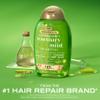 OGX Extra Strength Refreshing Scalp + Rosemary Mint Shampoo, Clarifying Wash Visibly Helps Remove Oil & Residue to Clear Away Buildup, Sulfate-Free Surfactants, 13 fl. Oz (Pack of 2) view 2