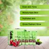 Shahnaaz-Husain's Mixed Fruit 5-Step Professional Facial Kit, 50g view 2