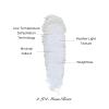 Flower Knows Little Angel Embossed Highlighter+Shell's Jewel Angled Blush Brush view 4