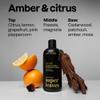 ATTITUDE Men's Shampoo and Conditioner 2-in-1, Volumizing for Thin Hair, With Rosemary and Rice Protein, 97% Natural Origin Ingredients, EWG Verified, Amber & Citrus, 14 Fl Oz (Pack of 3) view 3