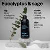 ATTITUDE Men's Shampoo and Conditioner 2-in-1, Scalp Care for Build Up & Oily Hair, 97% Natural Origin Ingredients, EWG Verified, Eucalyptus & Sage, 14 Fl Oz (Pack of 3) view 3