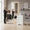 Homy Casa Modern White Storage Cabinet with 4 Drawers and 1 Door  Multi-Purpose Salon Organizer for Hair Salon, Spa & Beauty Studio, Compact Equipment Storage Unit  21.8W x 11.8D x 32.2H view 2