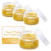 Magic Wrinkle Eraser Night Blam, Anti Aging Night Cream, With Rosehip & Marigold Extract, Intensive Overnight Balm for Fade Fine Lines Lift & Firm Moisturize Nourish Rejuvenate Skin (4) view 1