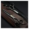 5.5/6 Inch Hair Cutting Scissors Set, Flat-Cut & Thinning Shears for Professional Hairdressers(Blue) view 2