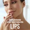 ChapStick Bulk Lip Balm, Classic Original 12-Count  Lip Moisturizer for Dry Lips, 0.15 Oz Ea view 2