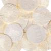 25 PCS Natural Loofah Exfoliating Face Scrub Pads, 2.36in Face Body Scrub Pads, Loofa Sponges Facial Exfoliating Pads for Makeup & Dead Skin Removal, Cleansing Skin for Women and Men view 4