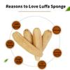14 in Natural Loofah Sponges Pack of 4, for Kitchen Dishes Body Scrubber view 2