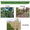14 in Natural Loofah Sponges Pack of 4, for Kitchen Dishes Body Scrubber view 3