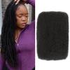 Afro Kinky Bulk Human Hair - 100% Real Human Hair, 1B Natural Black 20 Inch (Pack of 1) Afro Kinky Curly Bulk for Mini Twist, Braiding, Loc Extensions, Soft & Tangles-Free, Easy to Install & Style view 1