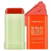 Amococo Makeup Blush Stick, Long-Lasting Blusher with Moisturizing Formula, Tinted Solid Moisturizer Stick for Eyes, Lips, Cheek, 0.6 Oz (Coral Orange, 1 Pack) view 1