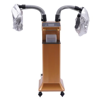 Nano Hair Steamer Professional Ozone Hair Steamer 650W 110V Multifunctional Hair Dyeing Machine with Timer & Adjustable Temperature, Standing Micro Mist Hair Processor for Beauty Salon (Gold)