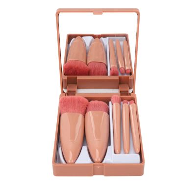 Focket Travel Makeup Brush Set, Streamlined Shaft Oil Proof Even Application, Mini Makeup Brushes Pink Brushes with Mirror Storage Box for Travel General Use