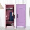 10.5x10.5x27cm Mini Iron Cosmetic Organizer for Playroom, Rustproof and Dustproof, Box, Pink view 4