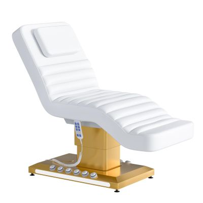 kaiwrxin Fully Electric Lift Massage Table for Estheticians 2r3