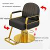 Barber Chair for Hair Stylist, Height Adjustable Hydraulic Hair Salon Chair, 360 Degrees Rotation, Multi-Function Shampoo Chair for Salon,Light Gray,B view 2
