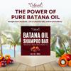 Batana Shampoo  Natural Batana Oil Soap Bar for Hair Growth, Thinning & Hair Loss  Thickening, Volumizing, Nourishing Shampoo to Strengthen Weak, Brittle Strands  Large 5 oz Soap Made in USA view 2