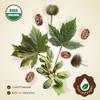 BodyJ4You Castor Oil Tea Tree Oil Bundle - USDA Certified Organic Pure Oils - Face Hair Skin Beard Nail Care - Cold Pressed Non-GMO Hexane Free Carrier Oils - Castor 2 Fl Oz - Tea Tree 1 Fl Oz view 3
