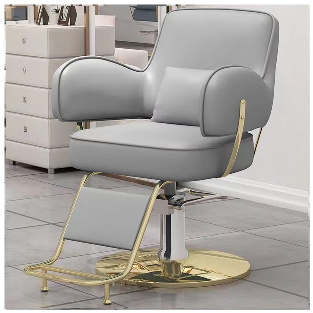 Barber Chair,Salon Chair for Hair Stylist,Salon Chair with Hydraulic Pump,360 Degree Swivel Hair Stylist Chairs with Footrest,Gray,D