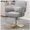 Barber Chair,Salon Chair for Hair Stylist,Salon Chair with Hydraulic Pump,360 Degree Swivel Hair Stylist Chairs with Footrest,Gray,D view 1