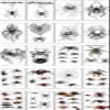 20 Halloween tattoo stickers, dark spider flower arm atmosphere decoration tattoo stickers, suitable for decoration accessories of makeup parties, parties and festivals view 1