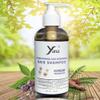 Yana Daily Routine 200ml Anti-Thinning Shampoo and Conditioner for Thinning Hair - DHT Blocker - Color Safe Routine Shampoo for Hair Loss & Healthier Hair - 200ml - Rosemary & Jojoba Oil For Women view 4