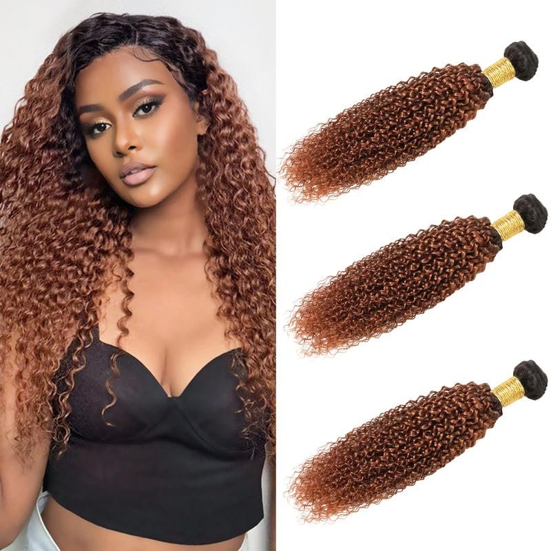 10 12 14 Inch Water Wave Bundles Human Hair Ombre Brazilian Virgin Hair for Black Women 12A Wet and Wavy 3 Bundles Light Brown Human Hair Weave (Black Ombre Light Brown#T1B/30)