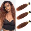10 12 14 Inch Water Wave Bundles Human Hair Ombre Brazilian Virgin Hair for Black Women 12A Wet and Wavy 3 Bundles Light Brown Human Hair Weave (Black Ombre Light Brown#T1B/30) view 1