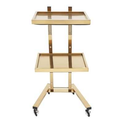 XEJMEOO 2 Tier Metal Rolling Cart, Stainless Steel Salon Tray with Wheels Foldable Utility Carts Hairdressing Tool Trolley for Tattoo Beauty Salon Eyelash and Nail Art Carts (Golden)