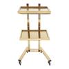 XEJMEOO 2 Tier Metal Rolling Cart, Stainless Steel Salon Tray with Wheels Foldable Utility Carts Hairdressing Tool Trolley for Tattoo Beauty Salon Eyelash and Nail Art Carts (Golden) view 1