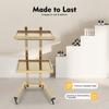 XEJMEOO 2 Tier Metal Rolling Cart, Stainless Steel Salon Tray with Wheels Foldable Utility Carts Hairdressing Tool Trolley for Tattoo Beauty Salon Eyelash and Nail Art Carts (Golden) view 2