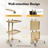 XEJMEOO 2 Tier Metal Rolling Cart, Stainless Steel Salon Tray with Wheels Foldable Utility Carts Hairdressing Tool Trolley for Tattoo Beauty Salon Eyelash and Nail Art Carts (Golden) view 4
