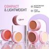 5 In 1 Makeup stack With Concealer, Bronzer, Blusher, Compact & Highlighter Smooth & Blendable Formula - Travel Friendly, Quick & Easy to Use (Light) view 4