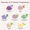 Momcozy Shower Steamers Floral Scents & Momcozy Shower Steamers Eucalyptus Leaf Shape view 3