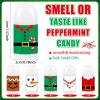 25 Pcs Christmas Lip Balm Bulk Mini Candy Cane Peppermint Flavor Lip Balms Bulk Christmas Stocking Stuffers Xmas Party Gifts Small Thank You Employee Appreciation Gifts for Women Men (Xmas Character) view 2