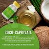 Artekas Innovation COCO-CAPRYLATE - Liquid - 100 g | 3.52 oz - Emollient - For Formulations and DIY Skin, Body, Face, Personal, Hair Care - Shower Products, Conditioning, Shampoos (Pack of 2) view 3