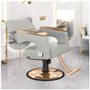 Barber Reclining Salon Chair - Height Adjustable, 360 Swivel, Multi-Function Shampoo Tattoo Chair,Grey,A view 1