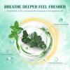 Eucalyptus Mint Shower Steamers 19 Pack - Eucalyptus for Shower, White Elephant Gifts, Stocking Stuffers for Adults, Christmas Gifts & Aromatherapy Birthday Gifts for Women Men Mom view 3