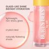 Burt's Bees Lip Oil Clear Day, Instant Hydration, Nourishes and Softens Lips, Tint Free, High Shine Finish, Responsibly Sourced Jojoba Oil, Non Sticky, Wand Applicator, 0.15 Ounce view 2
