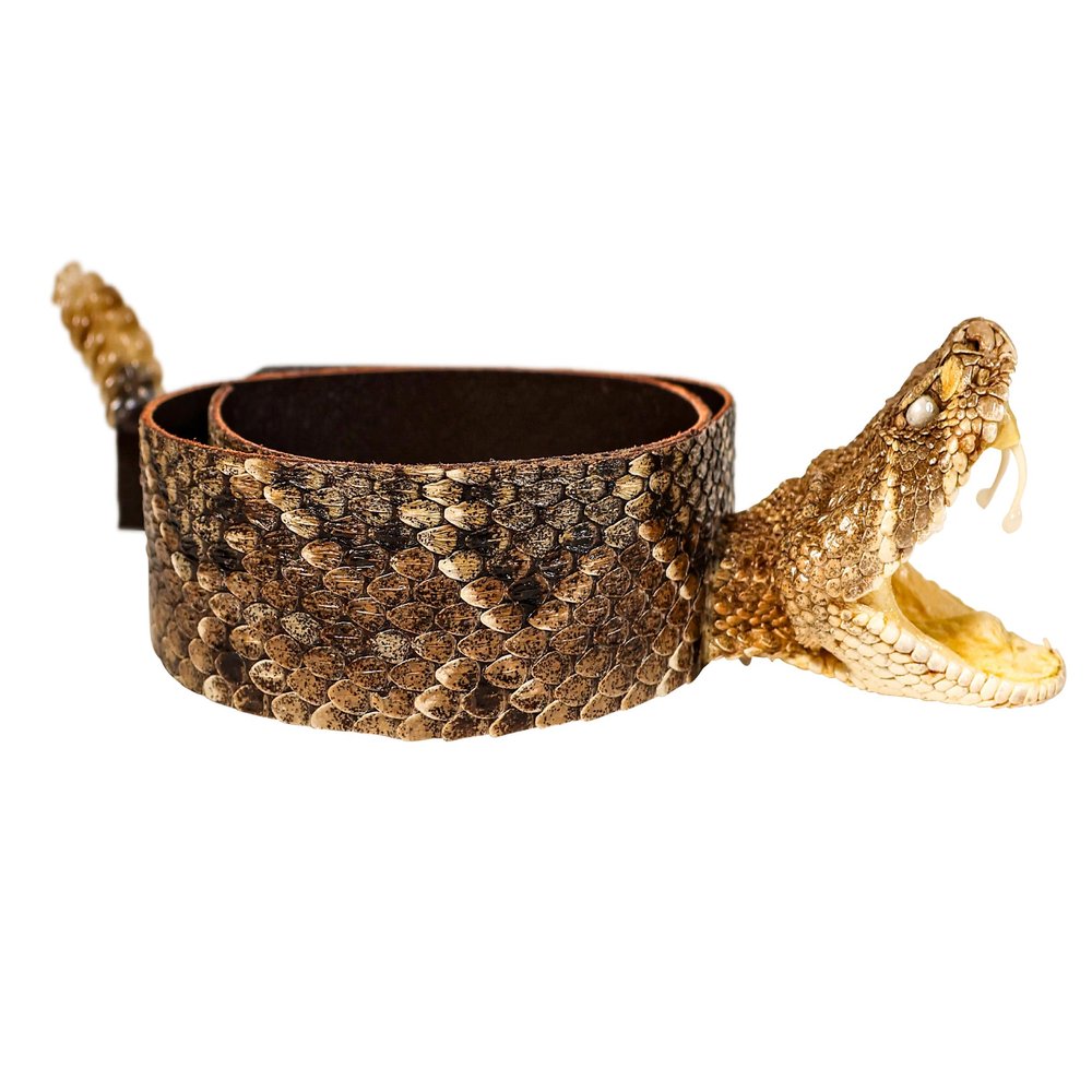 1.25" Real Texas Western Rattlesnake Hat Band with Open Mouth Head & Rattle: Black Leather Backing