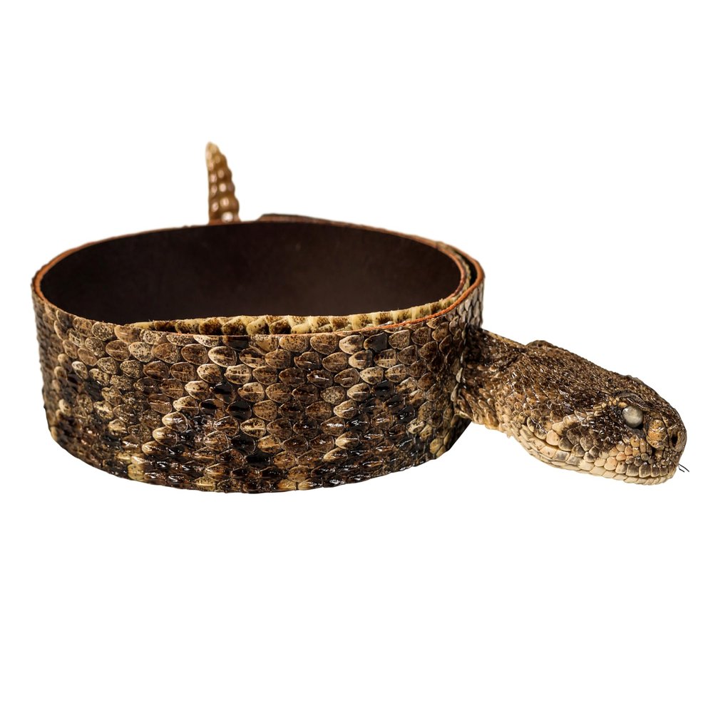 1.25" Real Texas Western Rattlesnake Hat Band with Closed Mouth Head & Rattle: Black Leather Backing