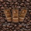 AM AMELI 3-Pack Coffee & Caf Caffeine Shampoo Hair Support Bundle for Growth & Shine, Paraben & Silicone-Free, Thinning Hair, 315.2 fl oz view 2