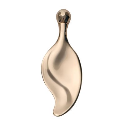 ETHZZLE Zinc Alloy Facial Massage Tool with Rolling Ball for Face Shaping and Eye Lifting Portable Beauty Roller for Skin Care and Facial Scraping Metal Face Massager for Women